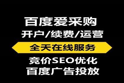 竞价推广实战：案例分析行业领军企业的成功之道
